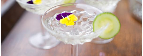 Summer Cocktails Continued – Elderflower Recipes